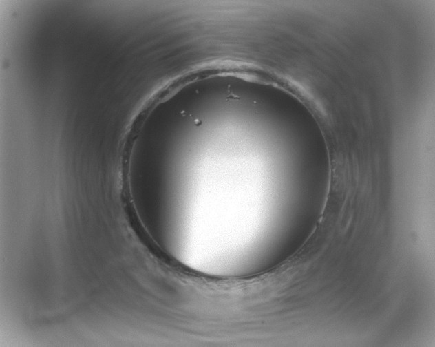 X0000069360015200605121128