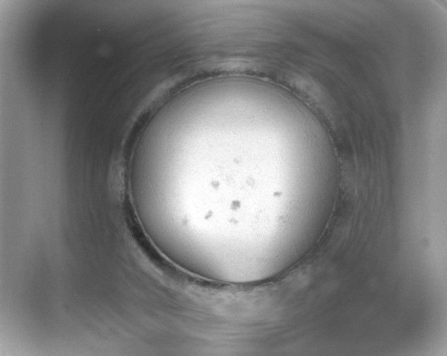 X0000069360016200605121128