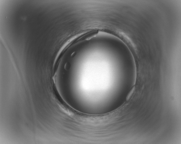 X0000069360017200605121128