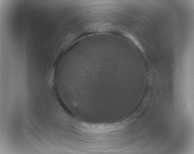 X0000069360018200605121128