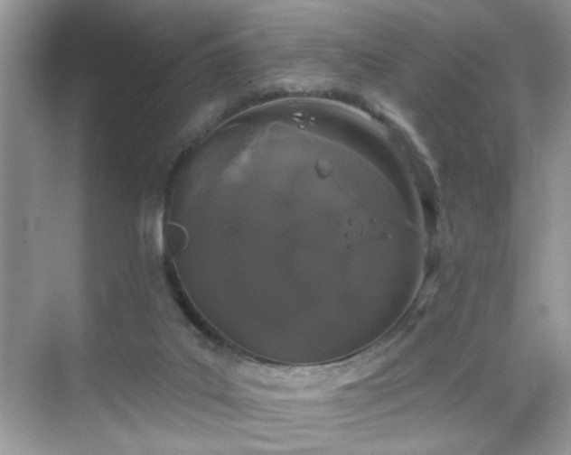 X0000069360019200605121128