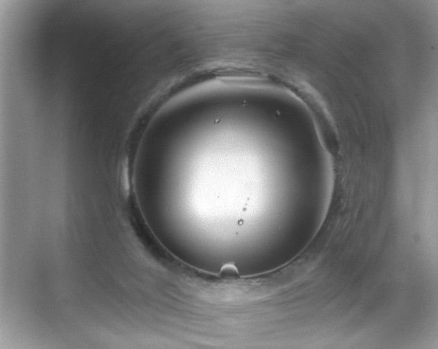 X0000069360020200605121128