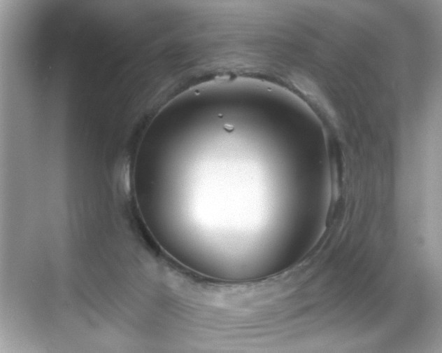 X0000069360021200605121128