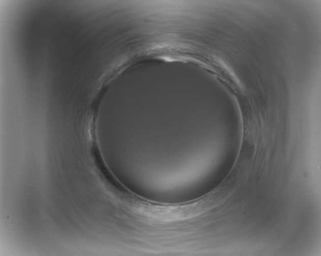 X0000069360023200605121128