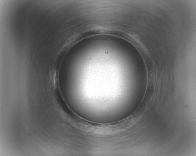 X0000069360024200605121128