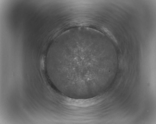 X0000069360026200605121128