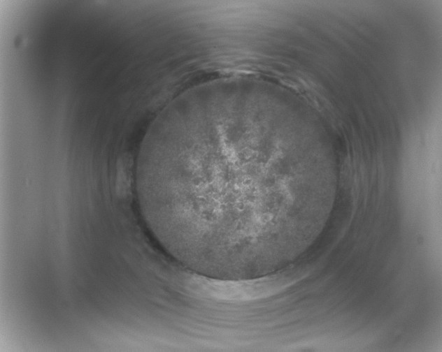 X0000069360030200605121128