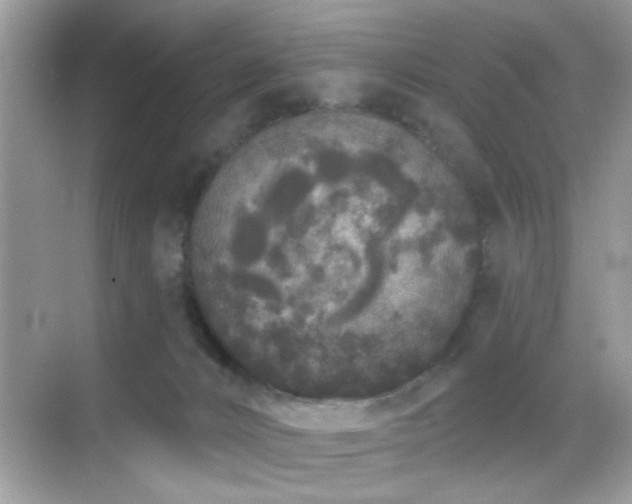 X0000069360032200605121128