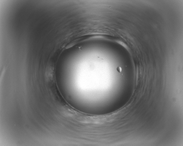 X0000069360033200605121128