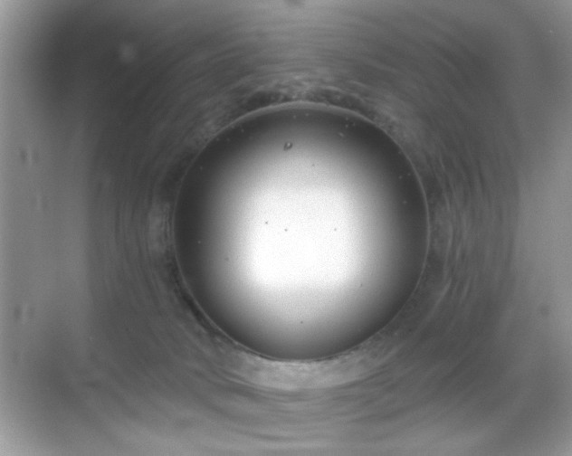 X0000069360034200605121128