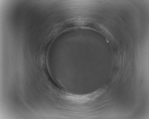 X0000069360035200605121128