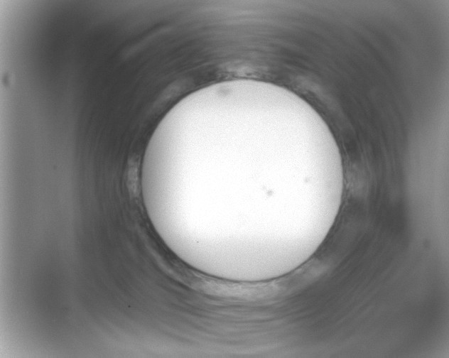 X0000069360036200605121128