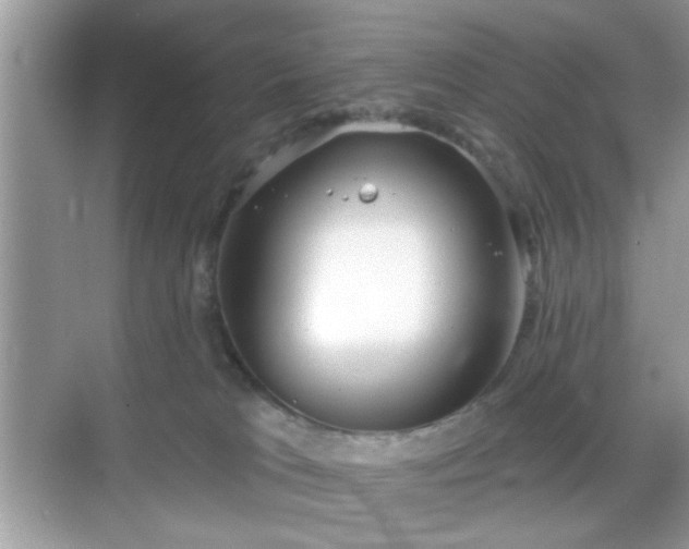 X0000069360037200605121128