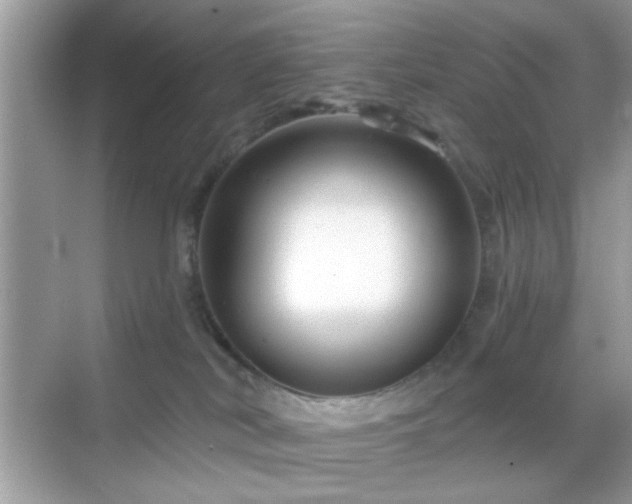 X0000069360038200605121128