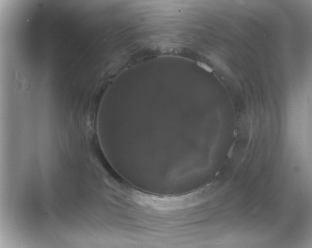 X0000069360039200605121128