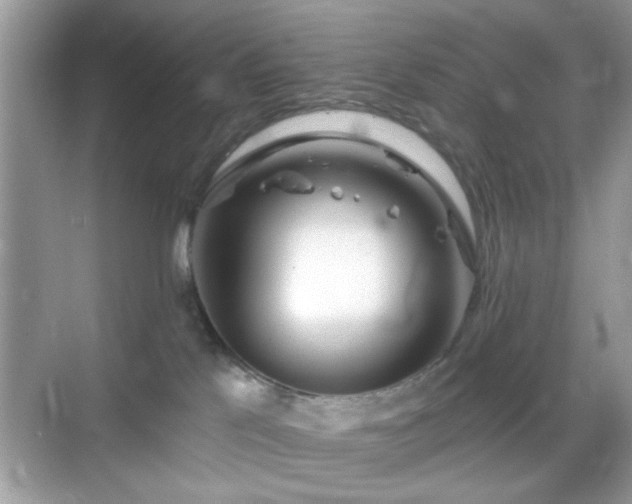 X0000069360041200605121128