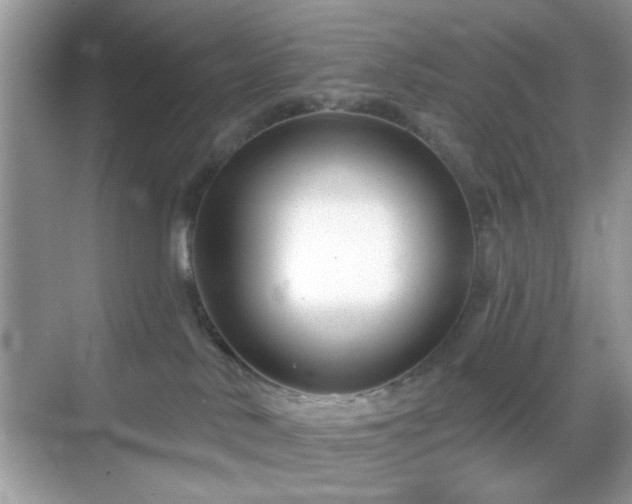 X0000069360042200605121128