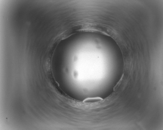 X0000069360043200605121128