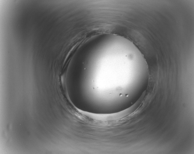 X0000069360045200605121128