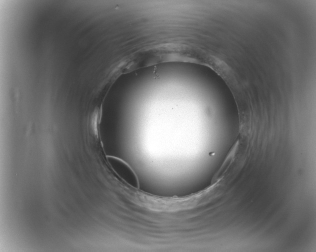 X0000069360047200605121128