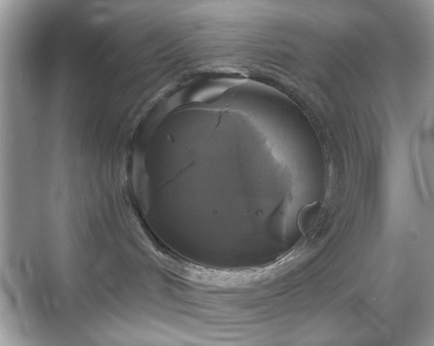 X0000069360048200605121128