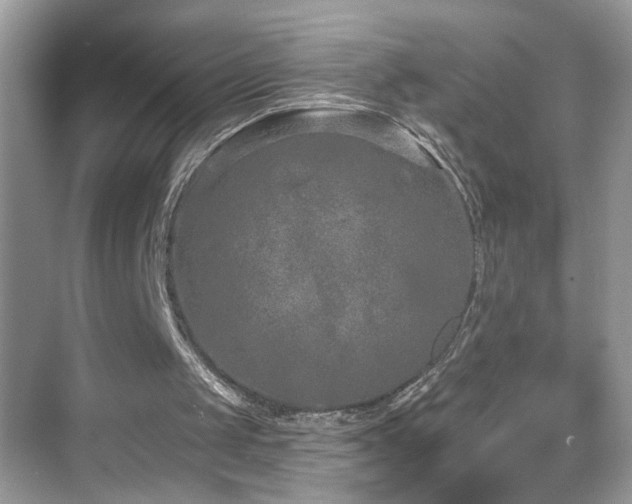 X0000069360049200605121127