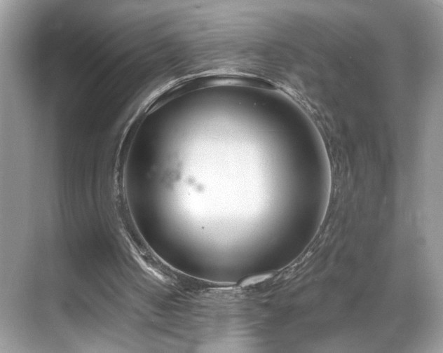 X0000069360050200605121127