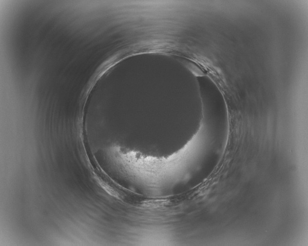 X0000069360051200605121127