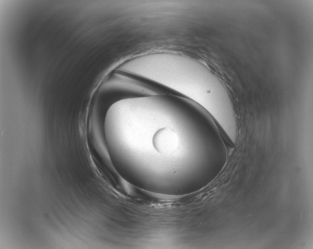 X0000069360052200605121127