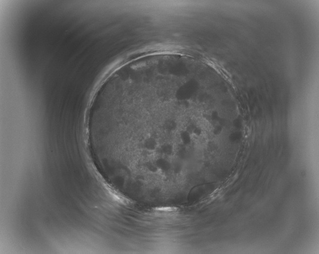 X0000069360053200605121127