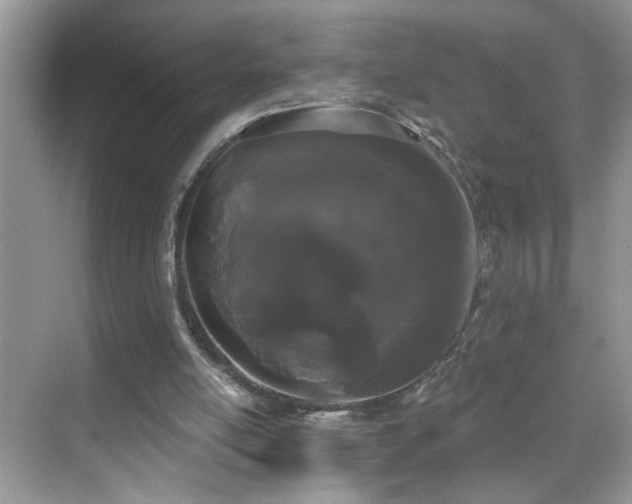 X0000069360054200605121127