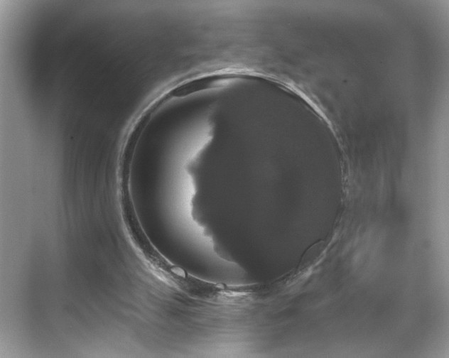 X0000069360055200605121127