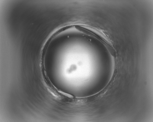 X0000069360056200605121127