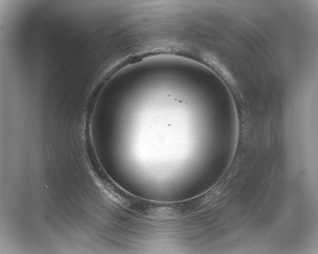 X0000069360058200605121127