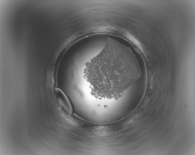 X0000069360059200605121127