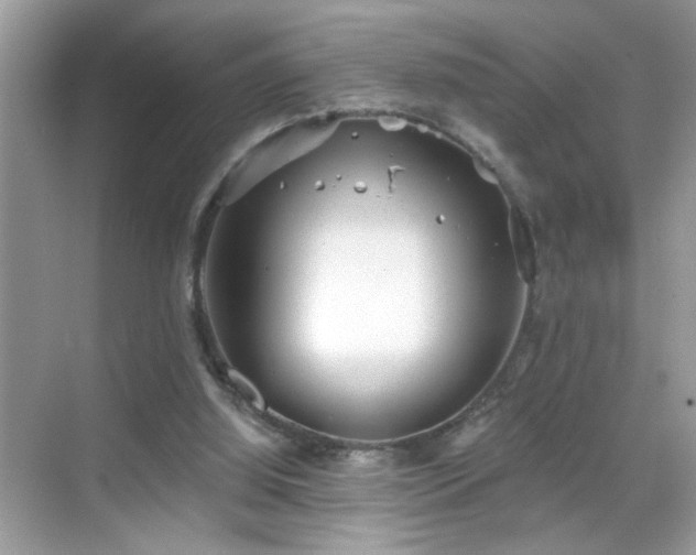 X0000069360060200605121127