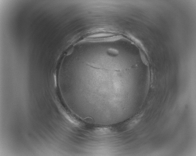 X0000069360061200605121127