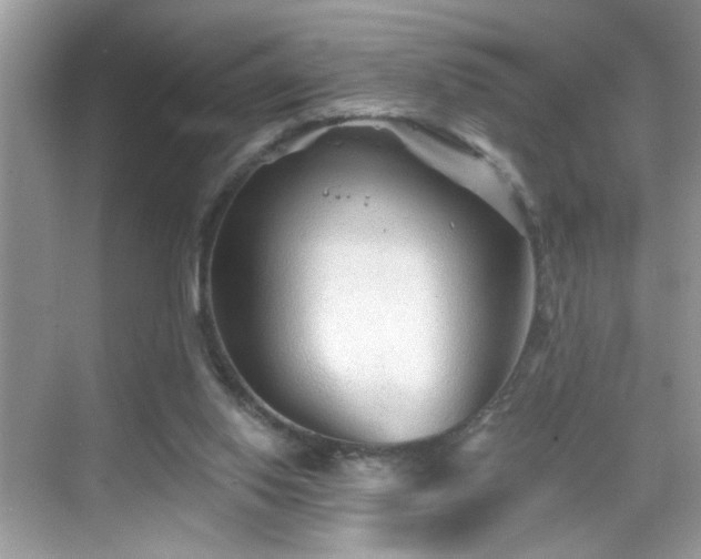 X0000069360062200605121127