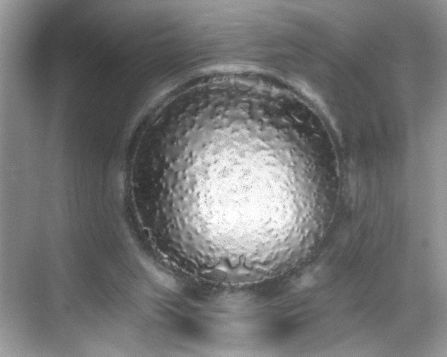 X0000069360063200605121127