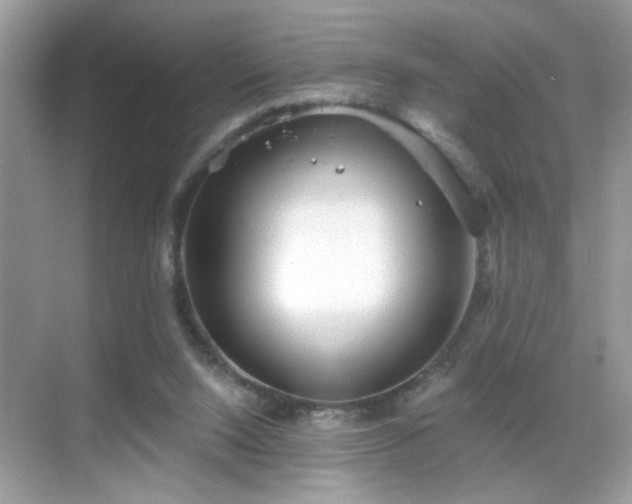 X0000069360064200605121127