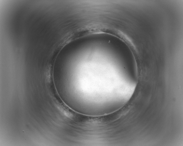 X0000069360065200605121127