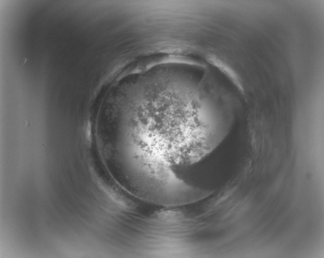 X0000069360067200605121127