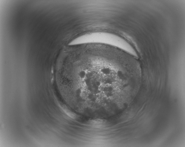 X0000069360069200605121127