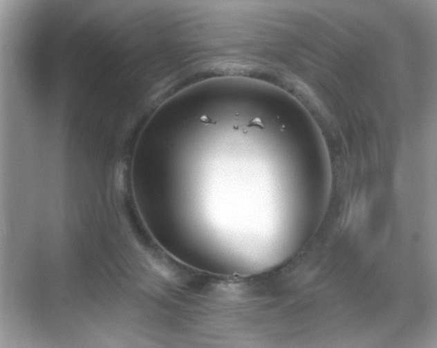 X0000069360071200605121127