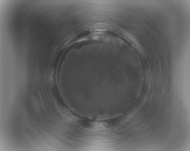 X0000069360073200605121127