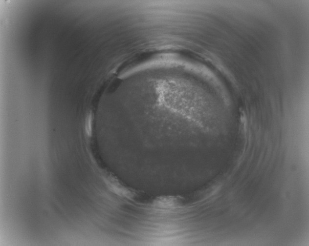 X0000069360076200605121127