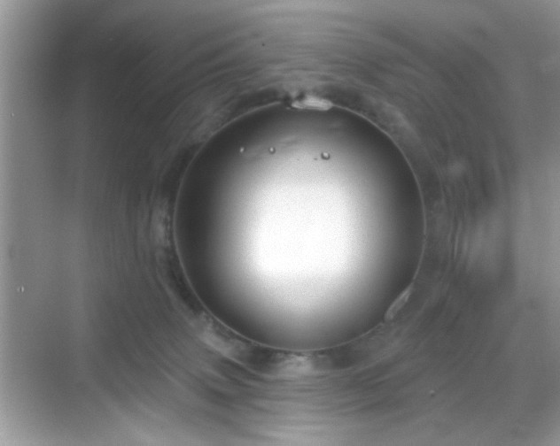 X0000069360083200605121128