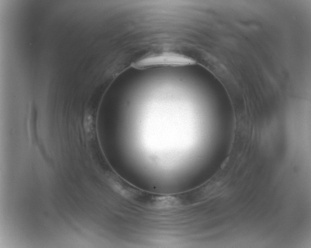 X0000069360087200605121128