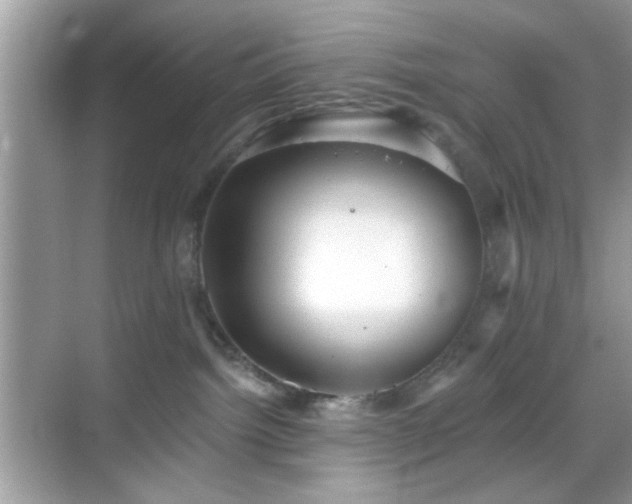 X0000069360092200605121128