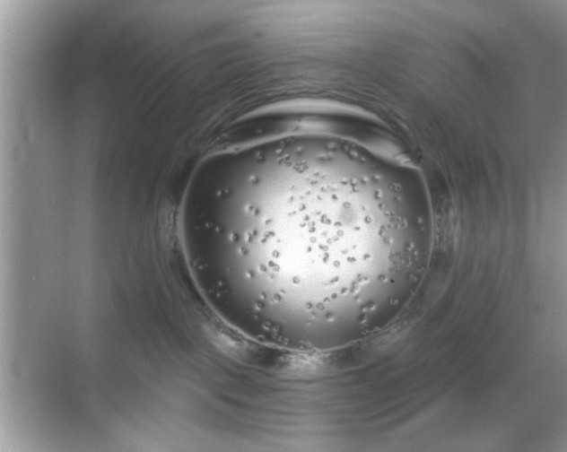 X0000069360093200605121128